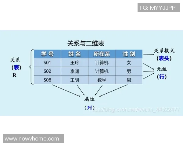 体育技术统计深度解析与应用探讨 从数据中挖掘竞技体育的内在规律与趋势 体育技术统计深度解析与应用探讨 从数据中挖掘竞技体育的内在规律与趋势