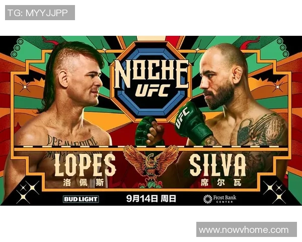 MMA格斗之夜：KO瞬间集锦