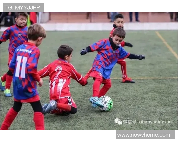 足球青训球员心理成熟度评估体系构建研究
