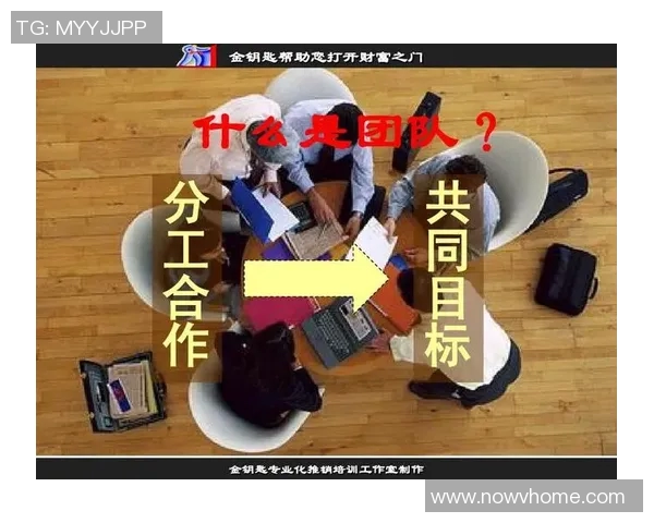 NBA 球队薪资结构平衡性与团队合作表现之间的关系