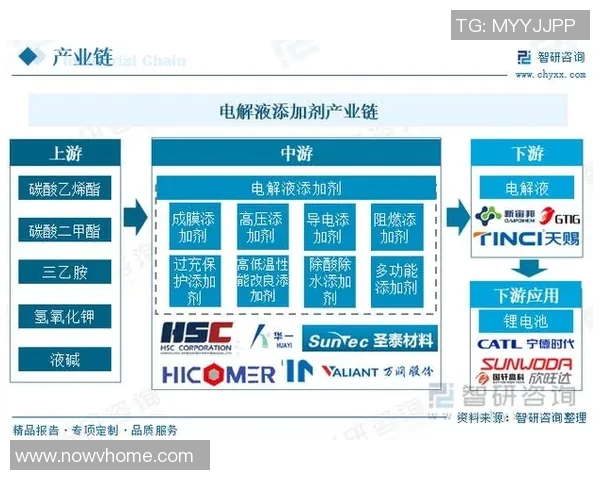 足球联赛球队年轻球员培养体系发展现状与未来趋势分析